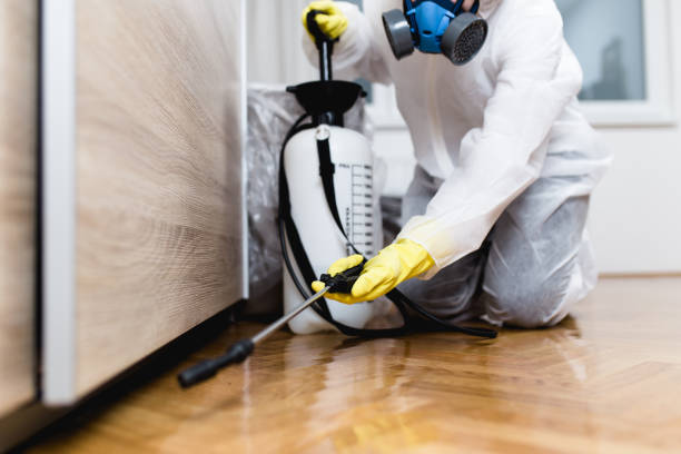 Professional Pest Control in Rahway, NJ