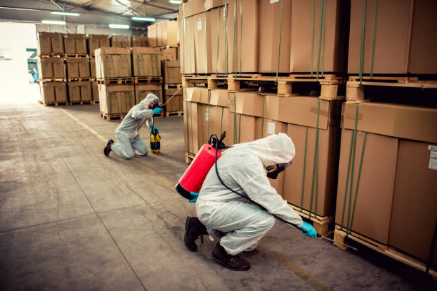 Best Residential Pest Control  in Rahway, NJ