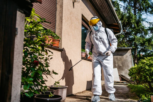 Best Pest Removal Services  in Rahway, NJ