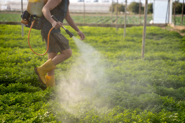 Best Commercial Pest Control Services  in Rahway, NJ