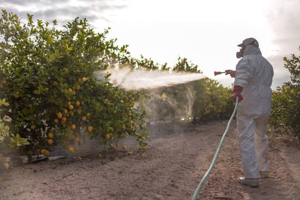 Best Bed Bug Extermination  in Rahway, NJ