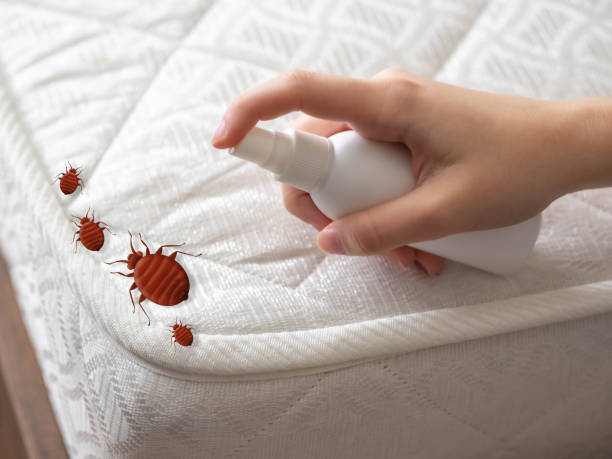 Best Spider Control Near Me  in Rahway, NJ