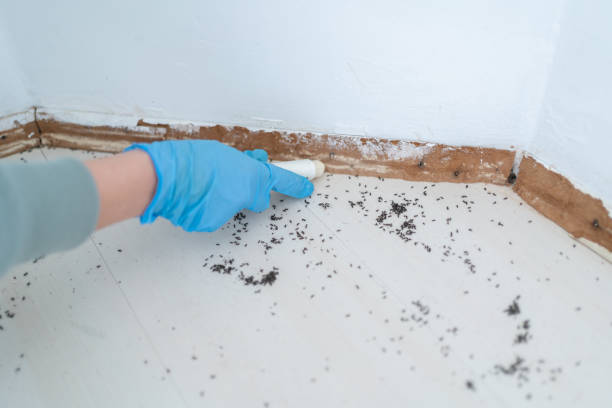 Best Residential Pest Control  in Rahway, NJ