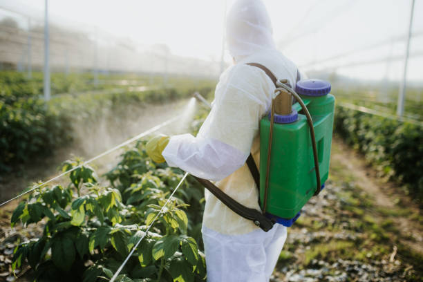 Best Pest Control Cost  in Rahway, NJ